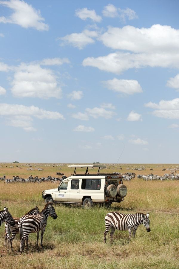 Why the Low Season Might Be the Best Time to Visit National Parks in Pearl of Africa