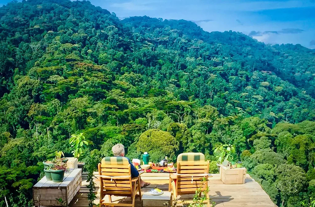 Bwindi Impenetrable Forest