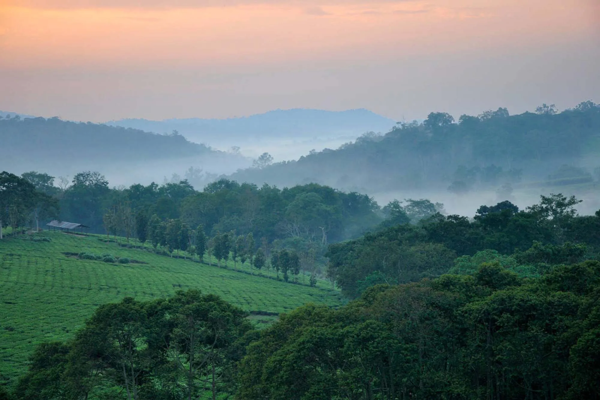 Kibale Forest National Park