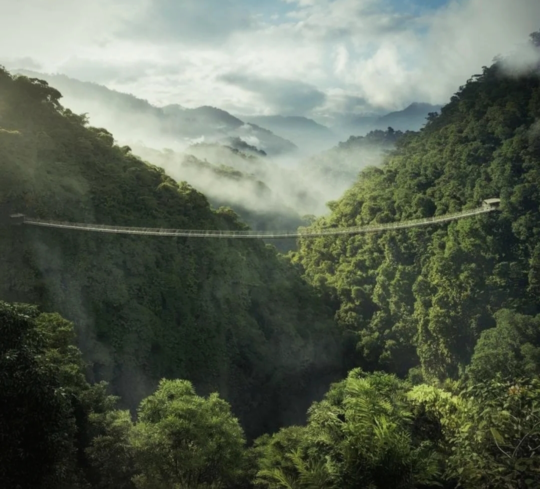 Nyungwe national park