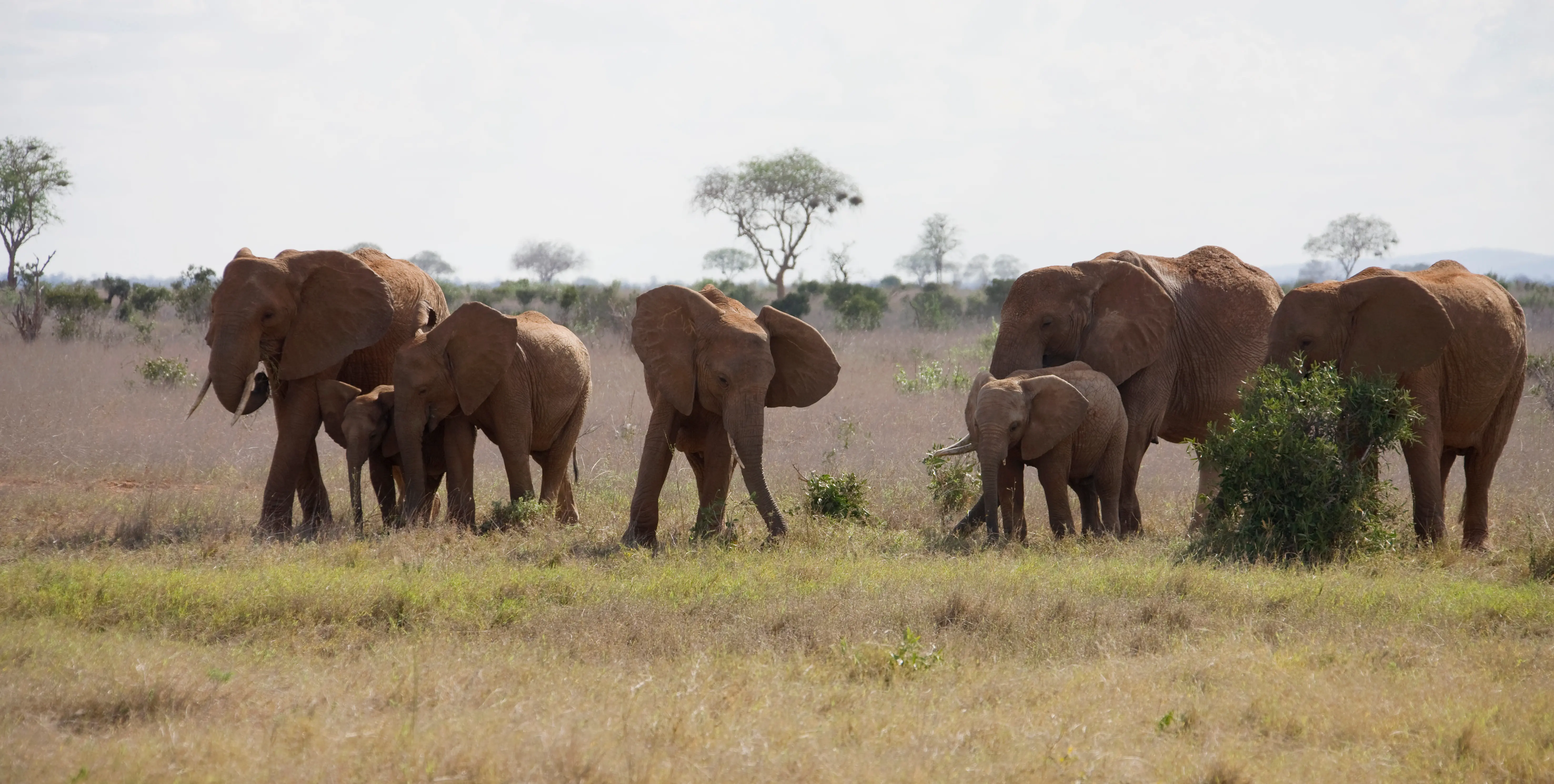 17 Days Savannah Special Safari
