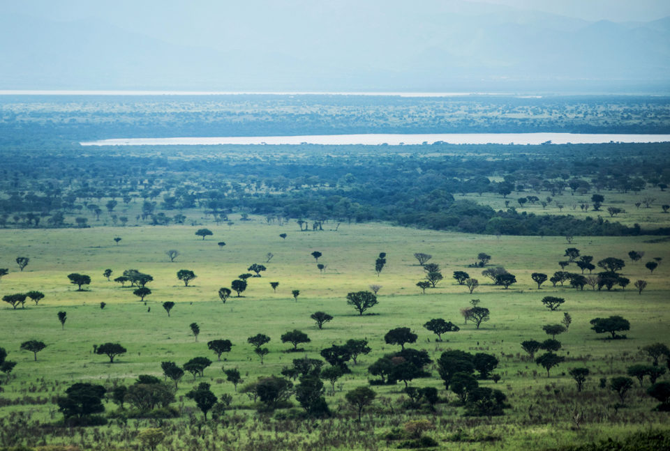 4-Day Queen Elizabeth National Park, Lake Nkugute, and Kalinzu Forest Chimpanzee Adventure
