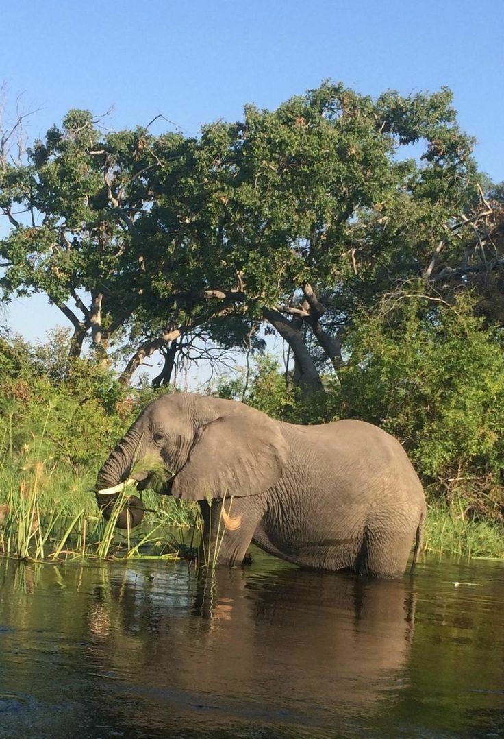 5 day safari  experience from the pearl of africa to the land of a thousand hills.