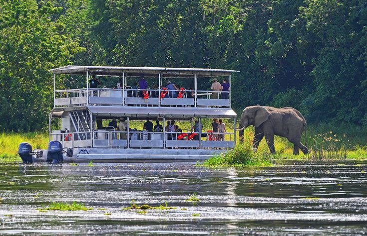 3-Day Murchison Falls Wildlife Safari