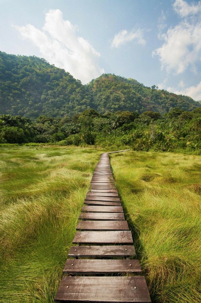 3 days tour in Kibale national park for chimpanzee tracking