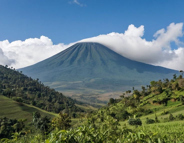 5 days safari Uganda & Rwanda: the Virunga birthday escape