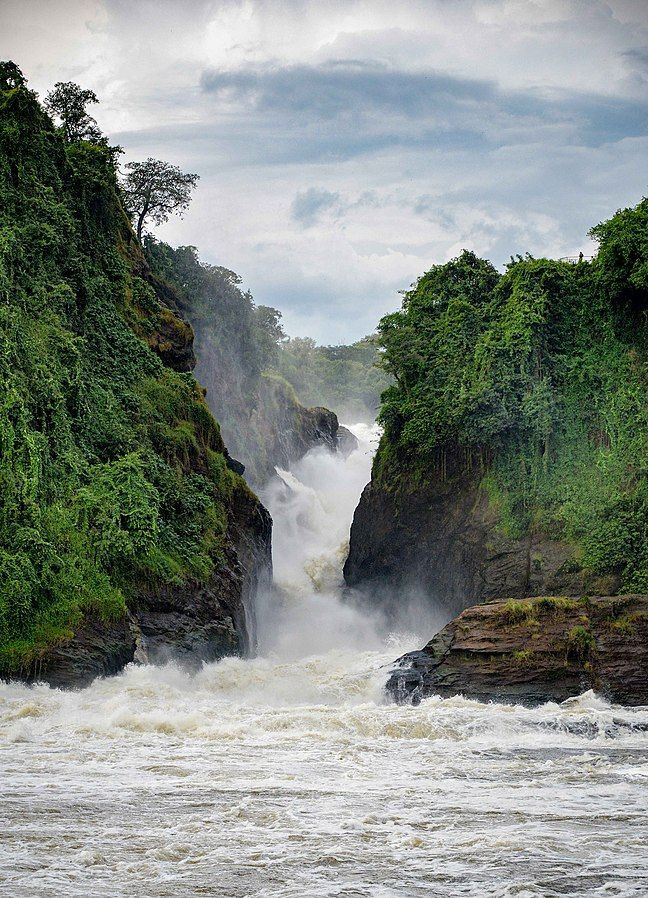 A 5-Day Western Uganda Wildlife and Adventure Safari