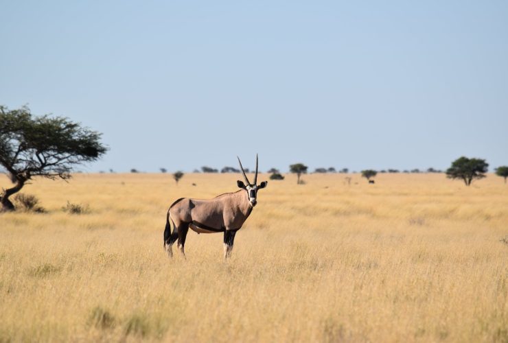 Kasenyi Plains in Queen Elizabeth National Park