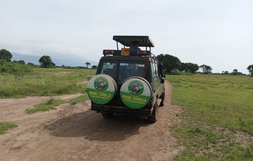 3 DAYS MURCHISON FALLS NATIONAL PARK. The unmatched safari template
